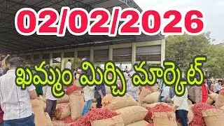 KHAMMAM MIRCHI MARKET AND COTTON TELANGANA RYTHU is live