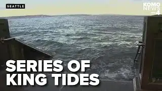 King Tides return to Seattle this weekend