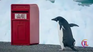 King welcomes those who showed bravery during train knife attack