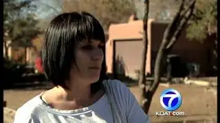 Kitten recovering after being caught in bear trap