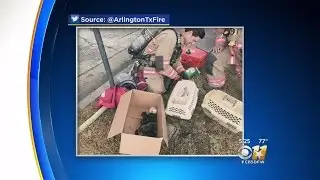 Kittens Recovering Right 