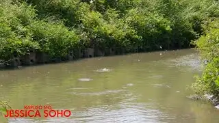 KMJS Special Report—Diumano’y korapsyon sa flood control project (Part 16) | Kapuso Mo, Jessica Soho