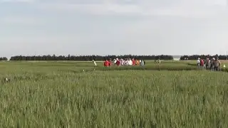 KNEB.tv Ag News: March 7, 2023