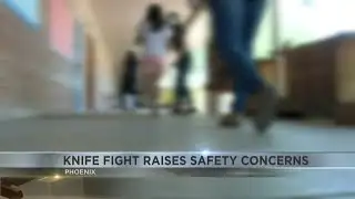 Knife fight at Phoenix high school raises safety concerns