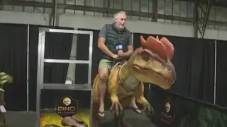 Kohr Explores: Clark County Fair returns for the summer