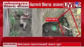 Kolhapur Breaking | कोल्हापूरच्या विवेकानंद परिसरात बिबट्या, बिबट्याला पकडण्यासाठी प्रयत्न सुरु
