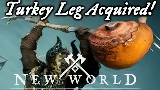 KOTT News: No Weather! No War! Only Turkey!