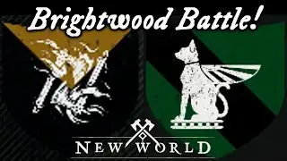 KOTT News:  One Fight Night!