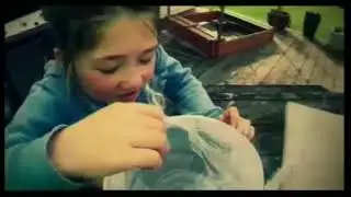 KPS News Term 4 Week 6 2017