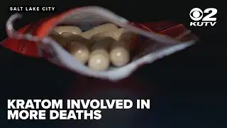Kratom-related overdose deaths in Utah increase 40% over last five years
