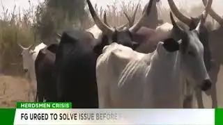 Kuanum Terrence shares his views on Herdsmen Attack