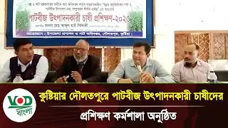 কুষ্টিয়ার দৌলতপুরে পাটবীজ উৎপাদনকারী চাষীদের প্রশিক্ষণ কর্মশালা | Kushtia | VOD Bangla News