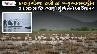 Kutch Wetlands Gujarat નું ગૌરવ: