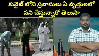 కువైట్ లోని ప్రవాసులు || Kuwait Expat Workers Catagory || SukanyaTv Telugu