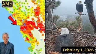LA Air Quality vs San Francisco - King Tides Peak & Next Rain Chance - Big Bear Eagle Sadness