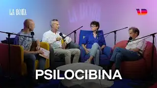La Botta. Ep.4: psilocibina e microdosing