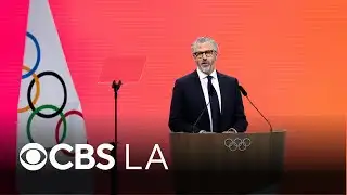 LA Olympics chairman Casey Wasserman urged to resign after emails released in Epstein files