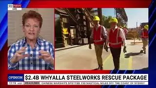 Labor’s Net Zero Madness is Killing Aussie Jobs | One Nation Will Fight Back