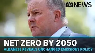 Labor to keep net zero emissions target for 2050 | ABC News