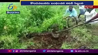 Labours Terrified by Seeing a Huge Python In Karnataka at Chamaraj Nagar | కొండచిలువ చూసి భయాందోళన