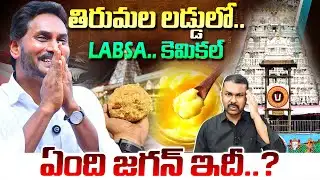 తిరుమల లడ్డులో.. LABSA కెమికల్ | Sit Shocking Report on Tirumala Laddu Ghee Adulteration Case