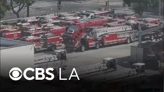 LAFD vehicle numbers decrease 1 year after Palisades Fire, latest data shows