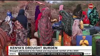 Lamu, Mandera, Turkana are undergoing drought stress