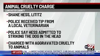 Lancaster County man charged after dog suffers possible brain damage