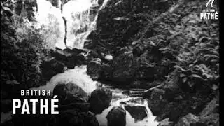 Lance Fairfax (1933)