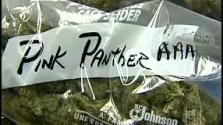 Large Amount Of Marijuana Seized