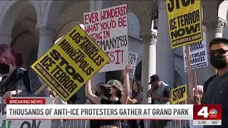 Large crowds gather in downtown LA to protest immigration crackdowns