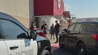 ‘Large-scale’ retail theft mission results in 29 arrests