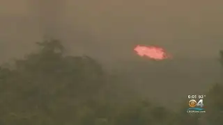 Large Smoky Everglades Brush Fire