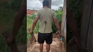 Large Spider Crawls on Brother After Picking Cassava || ViralHog