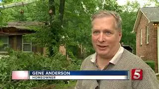 Large Tree Falls On Home During Severe Weather