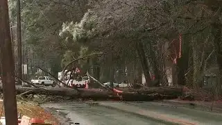 Large tree falls on power line, blocks road in southwest Atlanta