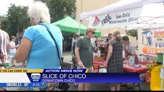 Large turnout for 49th annual Slice of Chico event