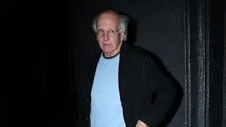 Larry David labelled as having ‘Trump derangement syndrome’