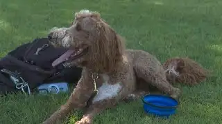 Las Vegas is breaking multiple heat records during heat wave