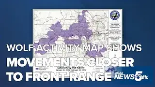 Latest Colorado wolf activity map shows movements closer to Front Range