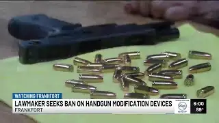 Lawmaker seeks state ban on possessing gun modification devices