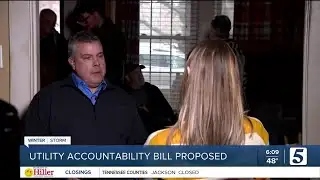 Lawmakers demand NES transparency after ice storm outages