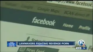 Lawmakers fighting revenge porn