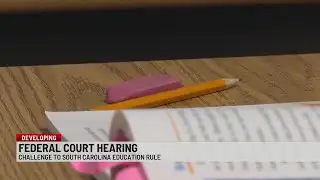 Lawsuit Challenges State Ban on AP African-American Studies