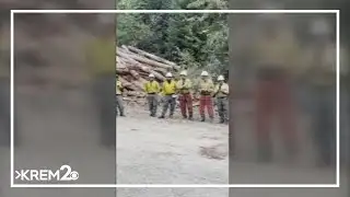 Lawyers file motion to release firefighters who battled Bear Gulch fire following their arrests