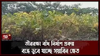 জোয়ারের পানিতে ডুবছে সয়াবিন ক্ষেত | Laxmipur | News | Ekattor TV