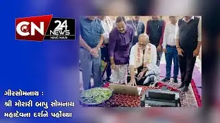 સાવલી : જિલ્લા LCB પોલીસની મોટી કાર્યવાહી : આઇશર ગાડીમાંથી પ્લાસ્ટિક દાણાનો જથ્થો કર્યો જપ્ત