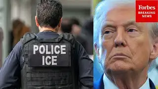 Leavitt Asked What ICE, CBP Reforms Trump Is Willing To Accept As Dems Press For Reforms
