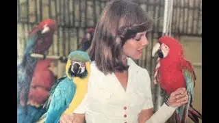 Lee Jordan: What you probably didn