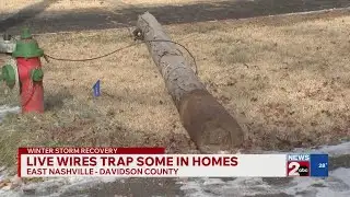 Left in the dark: Thousands still without power as Metro leaders question NES response